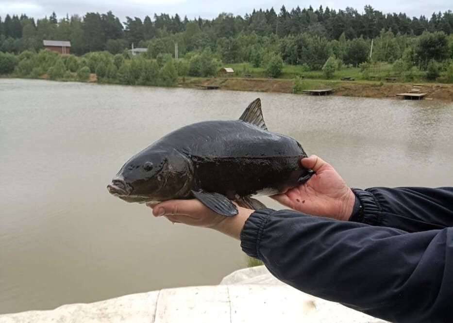 Продажа офиса  